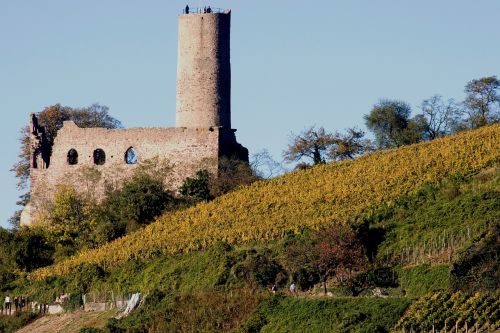 Pilis, Sugadinti, Odenwald