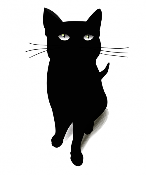 Katė, Blackcat, Juoda Katė, Vektorius, Kačių, Naminis Gyvūnėlis, Katės Akys, Naminiai Gyvūnai, Kačių Sustojo, Juoda, Nemokama Vektorinė Grafika
