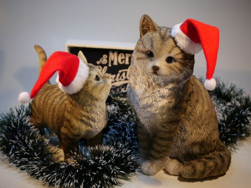 Katė, Kalėdos, Nikolas