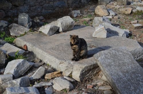 Katė, Efesas, Akmuo