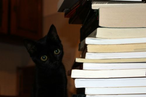 Katė, Knygos, Juoda