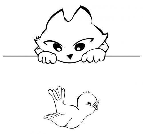 Katė, Ir Paukštis