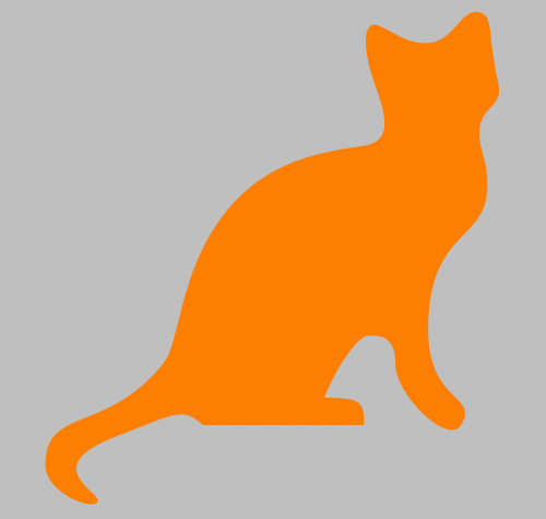 Katė, Kačiukas, Gyvūnas, Pussycat, Siluetas, Oranžinė, Nemokama Vektorinė Grafika