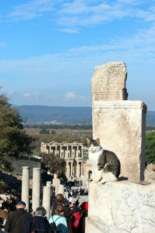 Katė, Turkija, Efesas