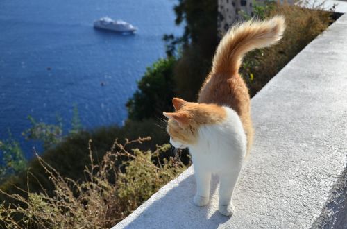 Katė,  Graikija,  Jūra,  Laivas