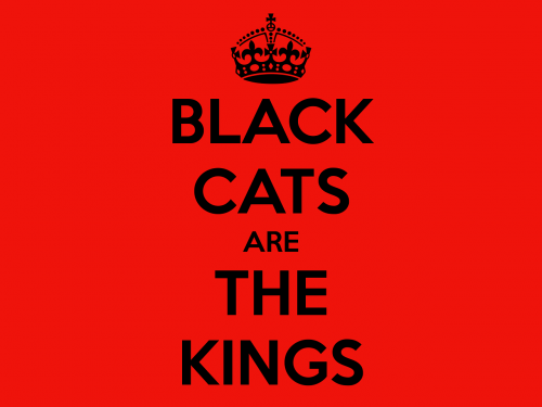 Katė, Juoda Katė, Juodos Katės Įvertinimo Diena, Karalius, Juoda, Raudona, Pranešimas, Citata