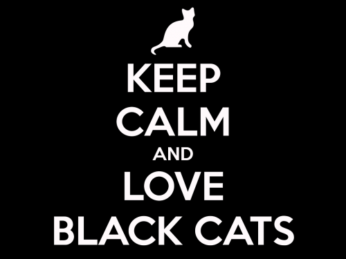 Katė, Juoda Katė, Būk Ramus, Juodos Katės Įvertinimo Diena, Pranešimas, Citata, Meilė, Katės