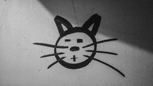 Katė, Grafiti, Figūra, Siena, Gatvės Menas, Simbolis