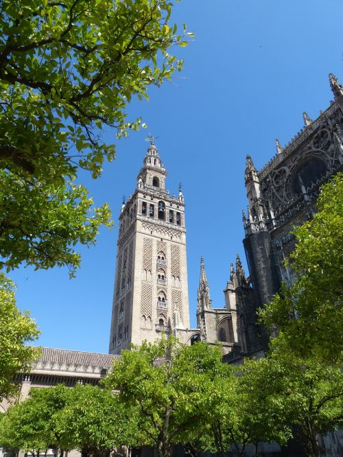 Katedra, Giralda, Plaza Virgin De Los Reyes, Sevilija, Andalūzija 