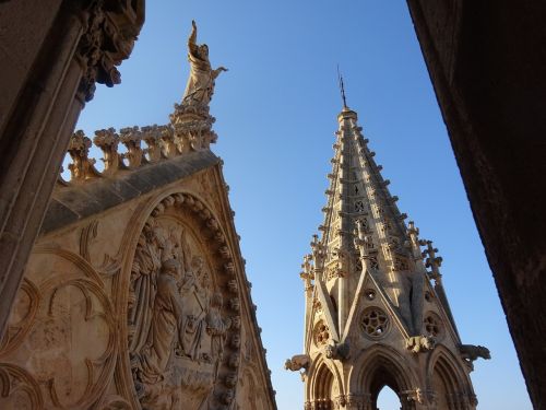 Katedra, Palma, Seo