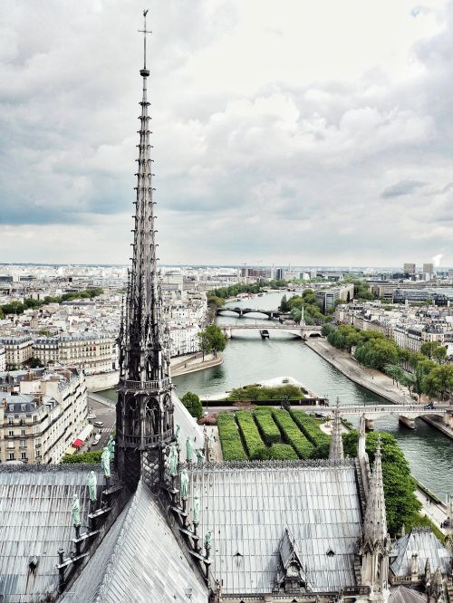 Katedra,  Architektūra,  Upė,  Paris,  France,  Kelionė,  Architektūros Paminklas,  Miesto Kraštovaizdis,  Be Honoraro Mokesčio