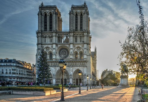Katedra,  Notre Dame,  Paryžius,  Ryto Šviesa,  Kalėdų Eglutė