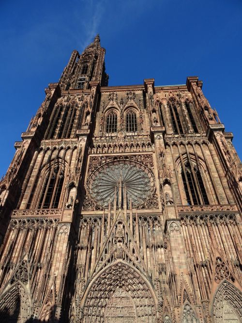 Katedra, Strasbourg, Alsace, France, Viduramžiai, Gotika, Smiltainis, Rožinis, Rozetė, Vitražas