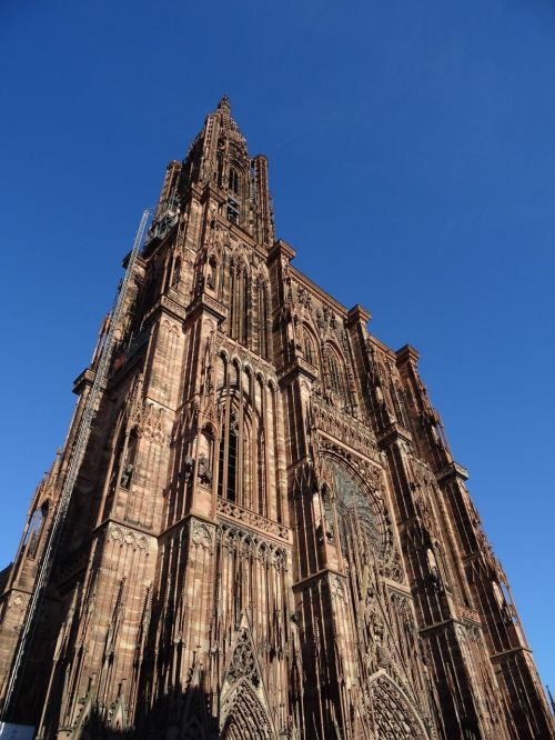 Katedra, Strasbourg, Alsace, France, Viduramžiai, Gotika, Smiltainis, Rožinis, Rozetė, Vitražas, Religija, Bažnyčia