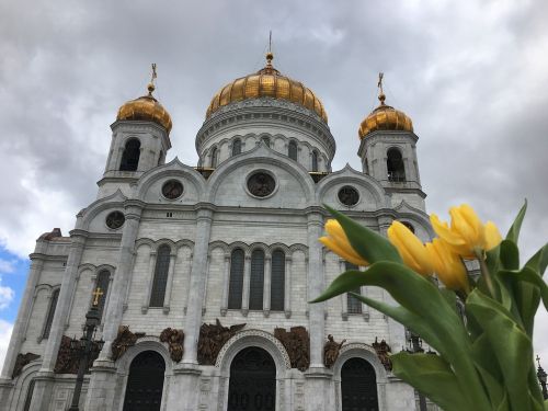 Kristaus Katedra Gelbėtojas, Katedra, Tulpės, Moscow, Architektūra, Geltonos Tulpės, Blogas Oras, Lankytinos Vietos