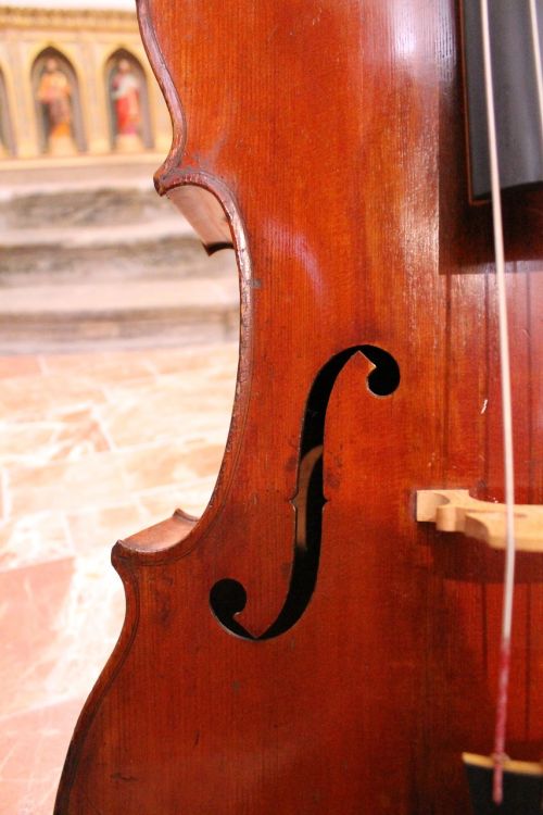 Violončelė, Mediena, Muzika, Ruda