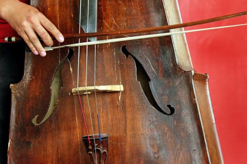 Violončelė, Smuikas, Bosas, Instrumentas, Muzika