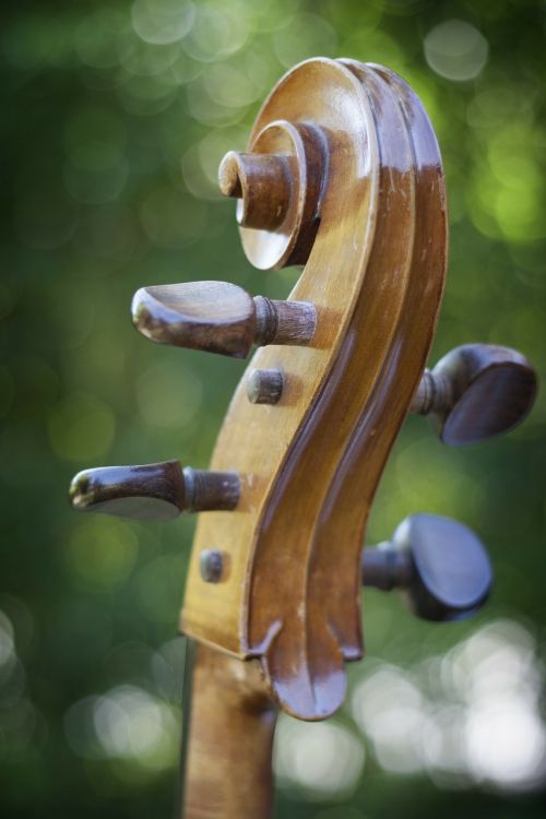 Violončelė, Instrumentas, Styginis Instrumentas, Muzikinis Instrumentas