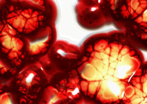 Ląstelės, Ląstelių Struktūra, Organizmas, Kraujas, Kraujo Plazma, Raudonieji Kraujo Kūneliai, Raudona, Didinimas