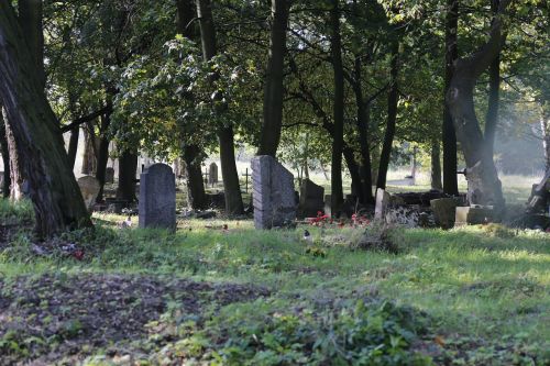 Kapinės, Świerczewo, Antrasis Pasaulinis Karas, Poznan, Sunaikintos Kapinės, Lenkija
