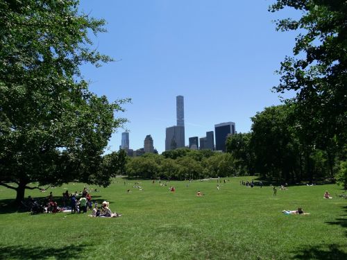 Niujorkas, Centrinis Parkas, Žmonės, Atsipalaiduoti, Diena, Žalias, Gamta