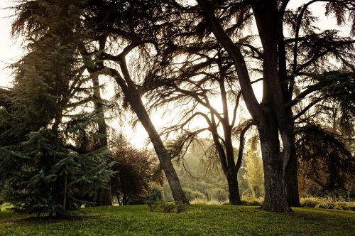 Centrinis Parkas,  Gamta,  Milanas,  Italija