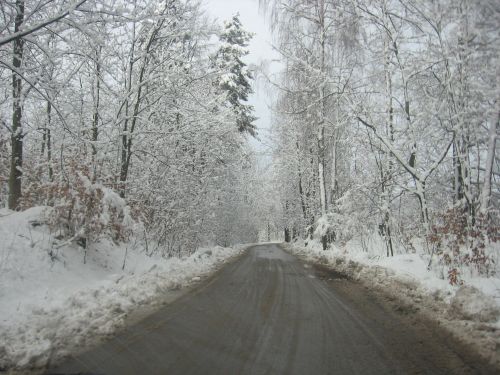 Kelias,  Žiema,  Kelias,  Medžiai,  Kelias Žiemą