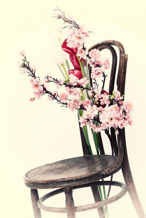 Kėdė, Gėlės, Kėdė Ir Gėlės