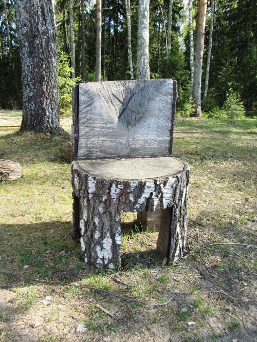 Kėdė, Miškas, Medis