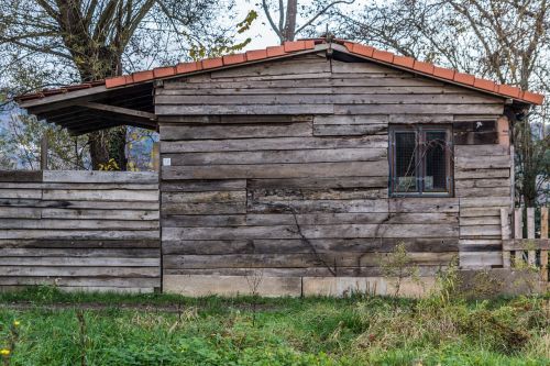 Chalet, Mediena, Gamta