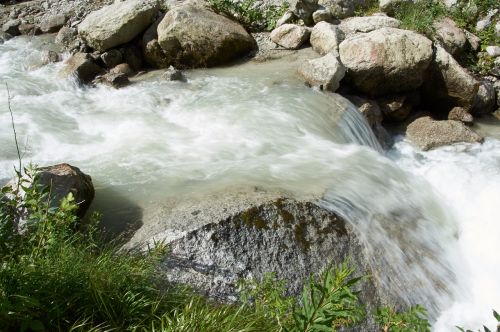 Chamonix, Upė, Gamta, Alpių