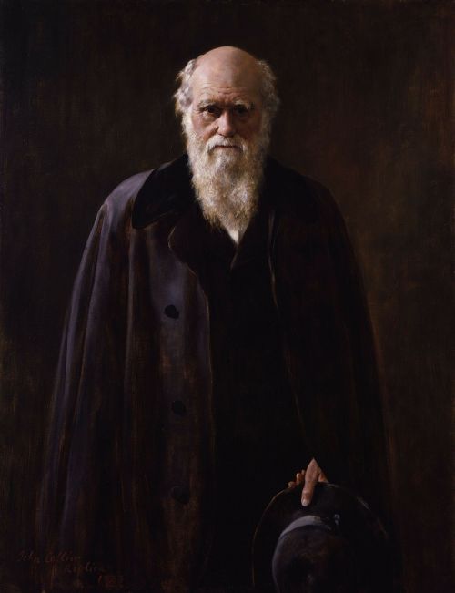 Charles Robert Darwin, Darvinismas, Evoliucijos Teorija, Dažymas, 1883