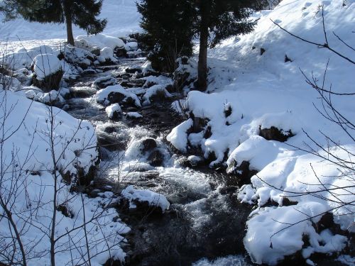 Chartreuse, Sniegas, Kalnas, Snieguotas Kraštovaizdis, Žygiai, Žiema, Kraštovaizdis, Tyla, Žiemos Peizažas, Snieguotas, Gamta, Alpės, Vienatvė