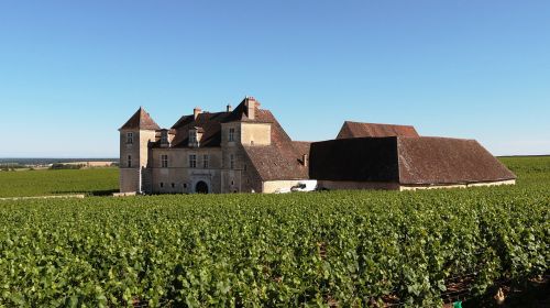 Château De Clos De Vougeot, Burgundija, France, Mėlynas, Dangus, Pilis, Vynas, Gerti, Didysis Kryžius, Puikūs Vynai, Vynuogynas, Vynuogynai, Vynmedis, Turistinė Vieta