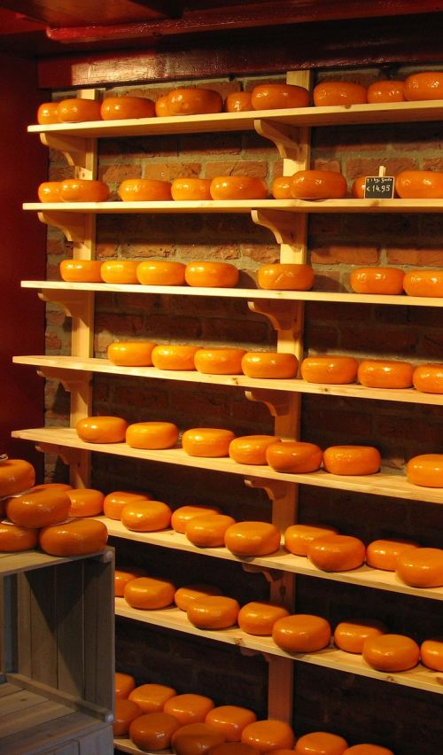 Sūris, Holland, Maistas