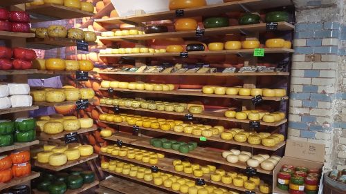 Sūris, Amsterdamas, Sūrio Pieno, Maistas