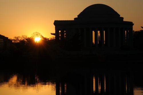 Vyšnių Žiedų, Jefferson Memorialas, Vašingtonas