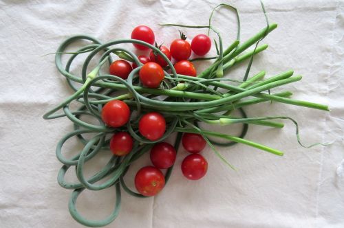 Vyšnių Pomidorai, Kojos, Daržovės, Raudona, Žalias