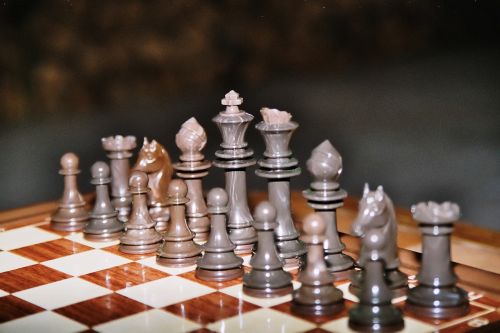 Šachmatai, Žaisti, Šachmatų Lenta, Karalius, Šachmatų Figūros, Lady, Skaičiai, Strategija, Šachmatų Žaidimas, Springeris, Bokštas, Ūkininkai, Bėgikai, Strateginis Žaidimas, Arklys, Linksma