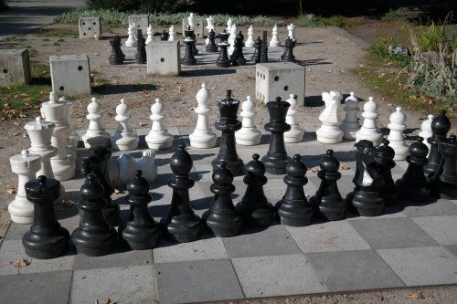 Šachmatai, Šachmatų Lenta, Šachmatų Figūros, Juoda, Balta, Šachmatų Žaidimas, Žaisti, Skaičiai, Lady, Karalius, Bėgikai, Springeris, Bokštas, Ūkininkai, Žaidimo Laukai