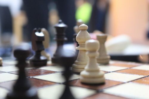 Šachmatai, Arklys, Springerio Šachmatų Lenta, Šachmatų Figūros, Strategija, Žaidimo Laukai, Didelis
