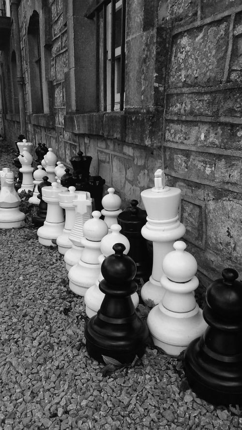 Šachmatai,  Karalienė,  Riteris,  Žmonės,  Skirmish,  Stalo Žaidimas,  Be Honoraro Mokesčio