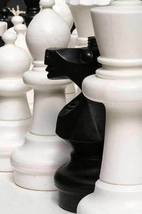 Šachmatai, Vienetai, Žaidimas, Lenta, Mąstymas, Žaisti, Judėti, Planavimas, Varzybos, Žvalgyba, Pėstininkas, Strategija, Strateginis, Arklys, Juoda, Balta, Figūra, Chessman, Taktika, Vyskupas, Šachmatų Lenta, Karalienė, Karalius, Mūšis