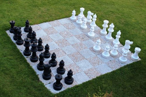 Šachmatų Žaidimas, Sodo Šachmatai, Šachmatų Figūros, Baltos Spalvos Prieš Juodą, Skubėti
