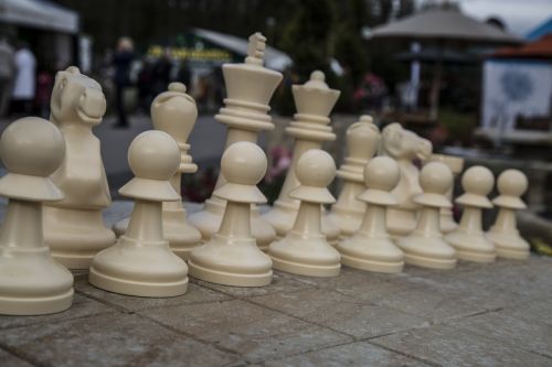 Šachmatai,  Žaidimas,  Žaidimai,  Pergalė,  Atkreipti,  Strategija,  Judėti,  Arklys,  Šachmatų Lenta,  Karalius,  Karalienė,  Iššūkis,  Checkmate,  Pėstiesiems,  Šachmatų Figūros