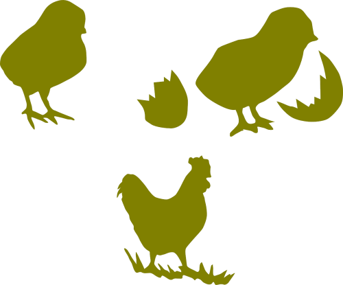 Vištiena, Gaidys, Naminiai Paukščiai, Višta, Ūkininkavimas, Viščiukas, Cockerel, Nemokama Vektorinė Grafika