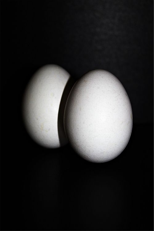 Vištienos Kiaušiniai, Kiaušinis, Vištos Kiaušinis, Maistas, Ovalus, Kiaušinių Lukštai, Mityba, Ūkis, Balta, Žaliaviniai Kiaušiniai, Balti Kiaušiniai