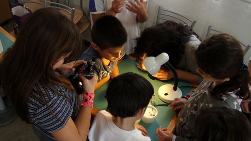 Vaikai, Jie Tiria, Mikroskopas, Grupė, Mokslas