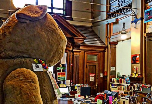Vaikai,  Biblioteka,  Skaitymas,  Teddy & Nbsp,  Bear,  Vaikų Biblioteka