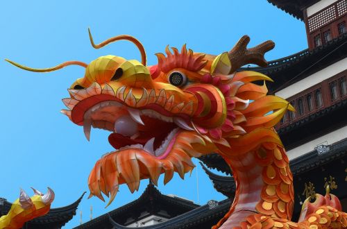 Kinija, Šanchajus, Festivalis, Drakonas
